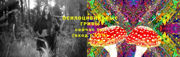 Альфа ПВП Алзамай