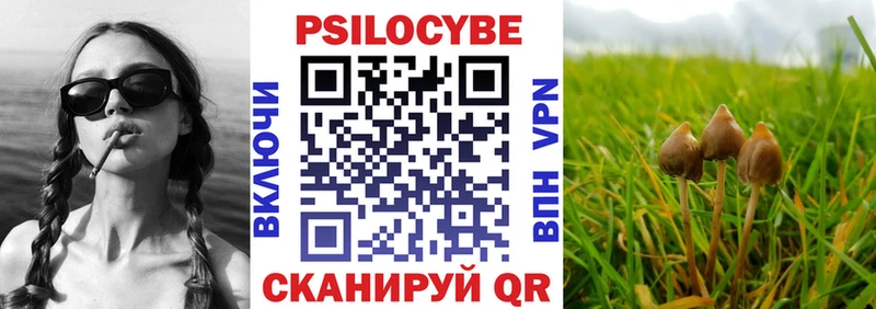KRAKEN tor  Мураши  Псилоцибиновые грибы Cubensis  где купить  